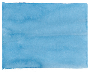 Octopus White & Draw Ink Blue Sloth