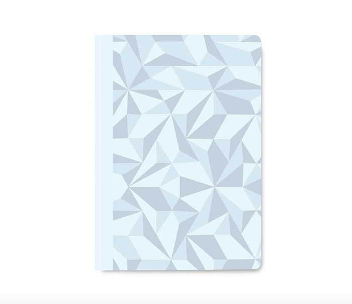 Caran d'Ache Alpine Frost A5