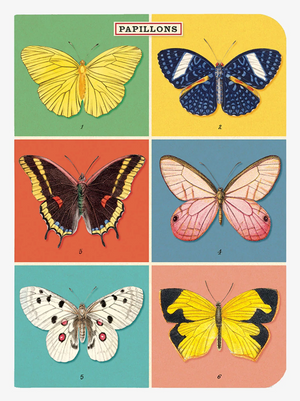 Cavallini Mini Notebooks Set 3 Butterflies