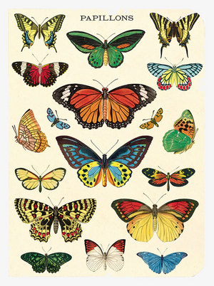 Cavallini Mini Notebooks Set 3 Butterflies