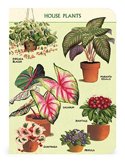 Cavallini Mini Notebooks Set 3 Houseplants