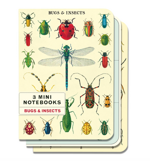 Cavallini Mini Notebooks Set 3 Bugs & Insects