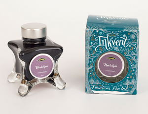 Diamine Inkvent Teal 2025 Chameleon Nostalgia