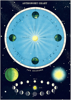 Cavallini Papel Astronomy Chart