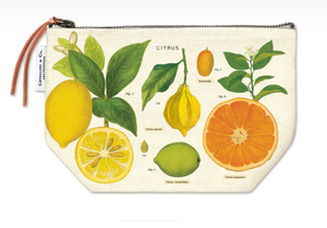 Cavallini Lapicera Citrus
