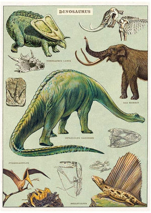 Cavallini Papel Dinosaurs