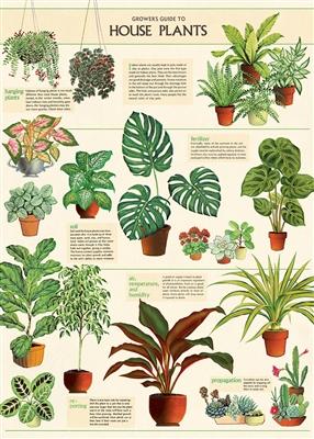 Cavallini Papel House Plants