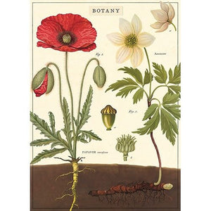 Cavallini Papel Botany