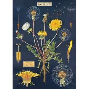 Cavallini Papel Dandelion