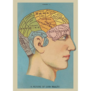 Cavallini Papel Phrenology