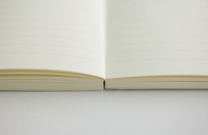 Midori MD Notebook Raya
