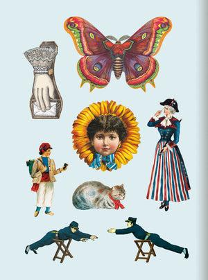 The Antiquarian Sticker Book Bibliophilia