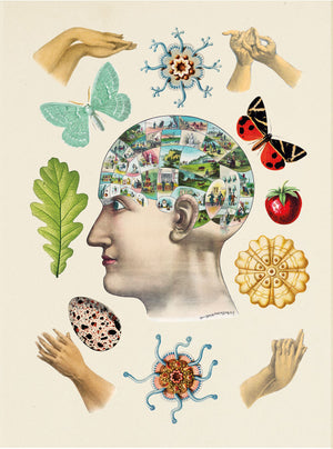 The Antiquarian Sticker Book