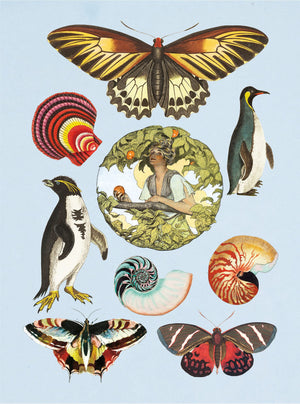 The Antiquarian Sticker Book