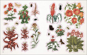 The Botanist Sticker Book