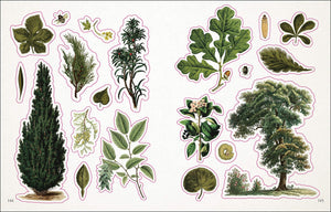 The Botanist Sticker Book